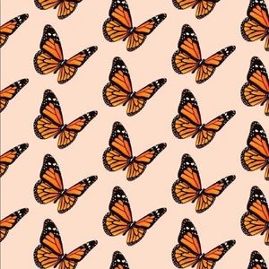 Meet your Posher, Isabel